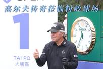 的整体表现
